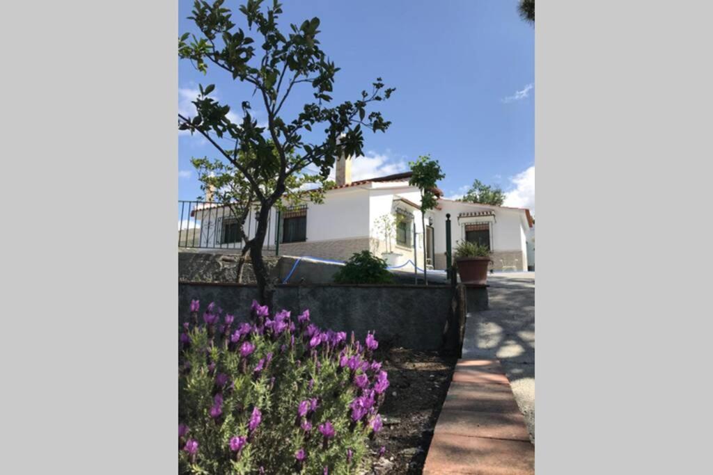 Casa Dimas Villa Cómpeta Eksteriør bilde